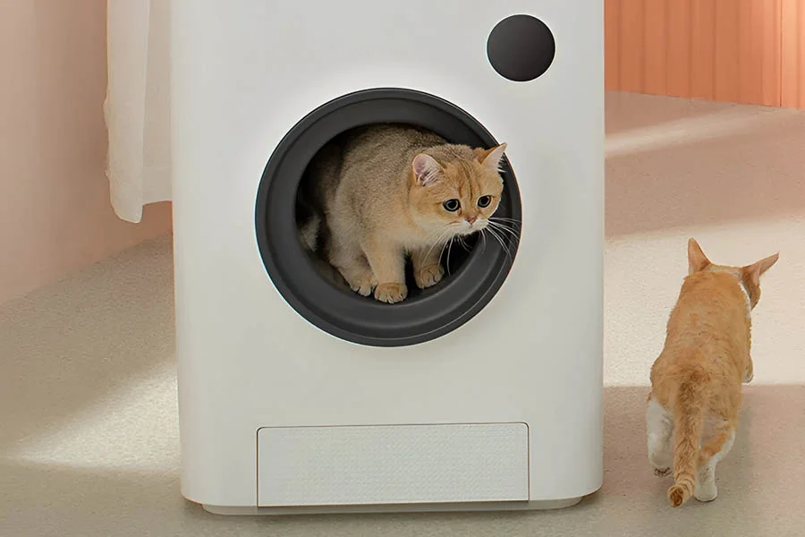 self-cleaning cat litter box