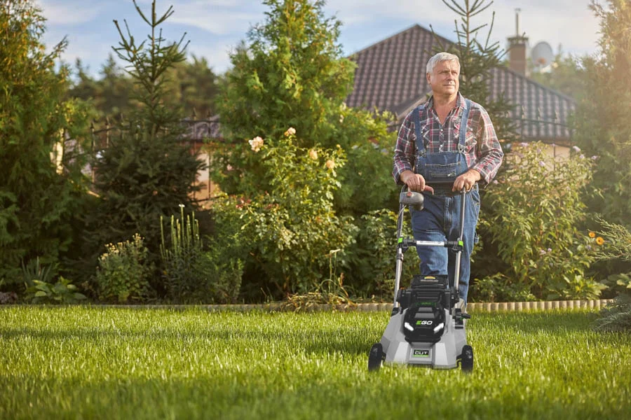 small lawn mower cordless